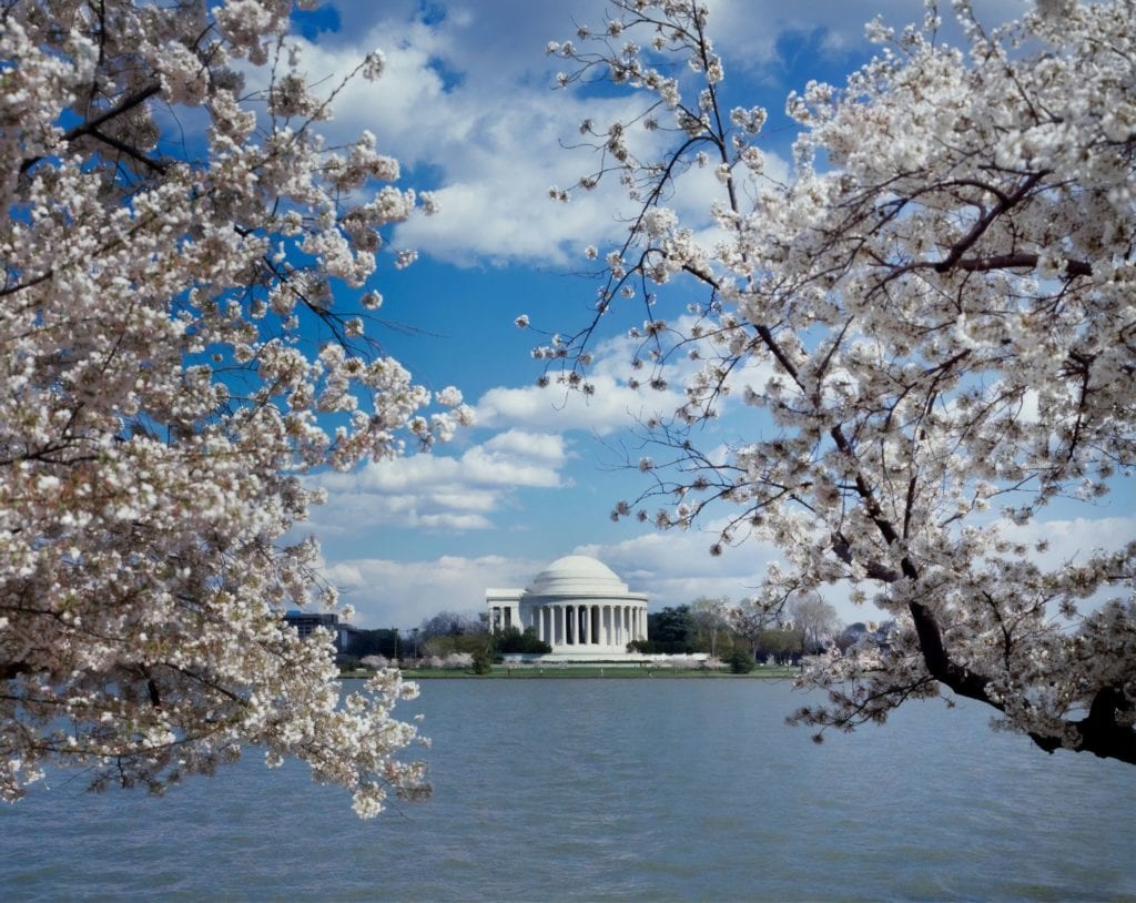 things to do this month in dc