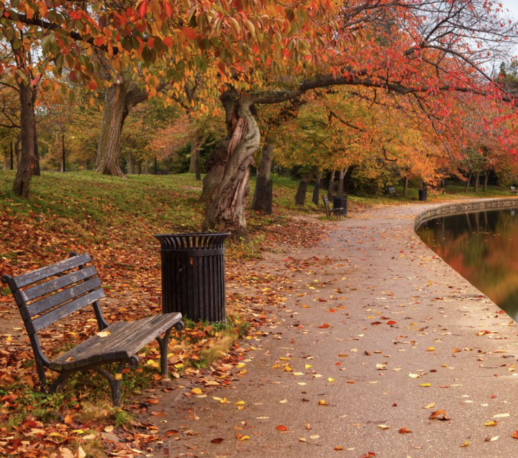 Finding Fall in Washington, DC