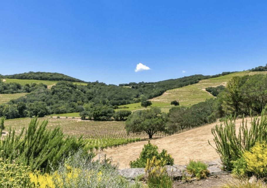 Welcome to 18000 Gehricke Road | Luxury Vineyard Property Hills View