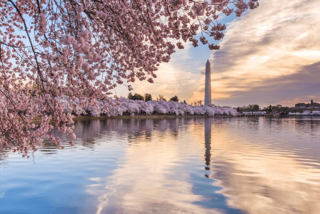 How to Plan the Perfect DC Staycation