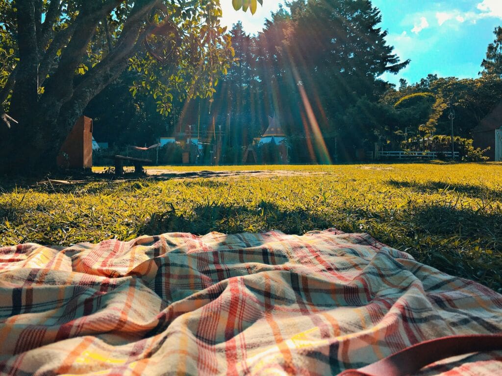 Best Picnic Spots in DC