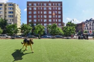 Open property gallery