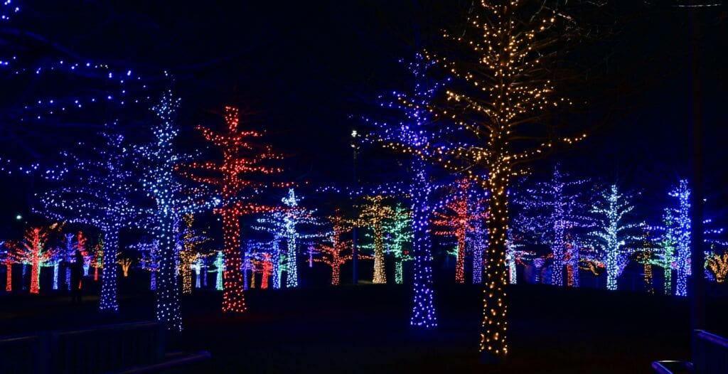 Best Neighborhoods for Christmas Lights in Maryland